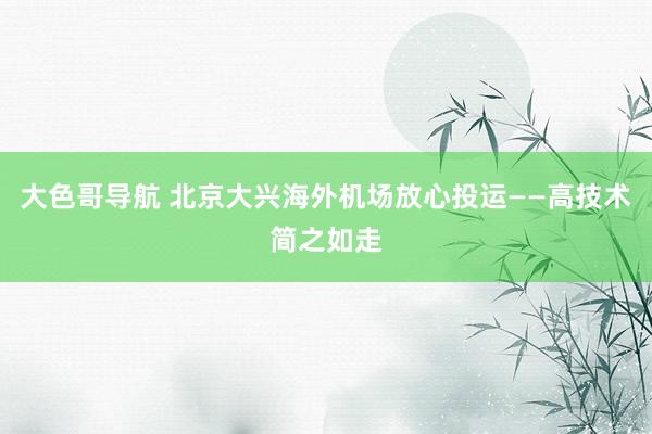 大色哥导航 北京大兴海外机场放心投运——高技术简之如走