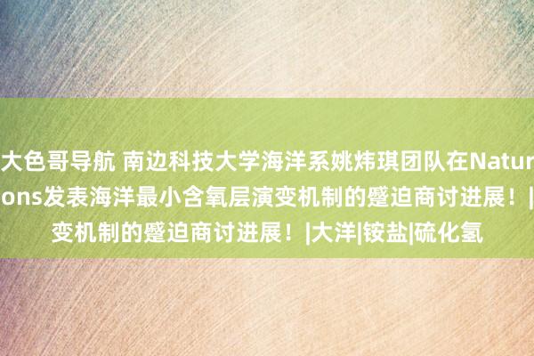 大色哥导航 南边科技大学海洋系姚炜琪团队在Nature Communications发表海洋最小含氧层演变机制的蹙迫商讨进展！|大洋|铵盐|硫化氢