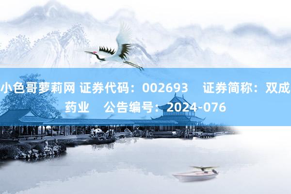 小色哥萝莉网 证券代码：002693    证券简称：双成药业    公告编号：2024-076