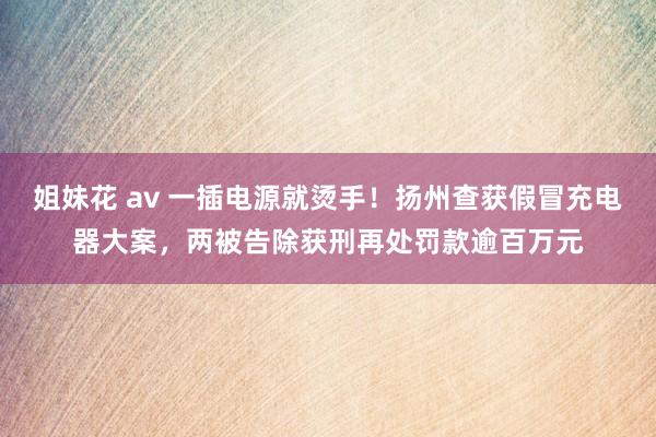 姐妹花 av 一插电源就烫手！扬州查获假冒充电器大案，两被告除获刑再处罚款逾百万元