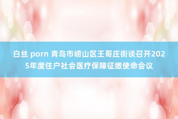 白丝 porn 青岛市崂山区王哥庄街谈召开2025年度住户社会医疗保障征缴使命会议