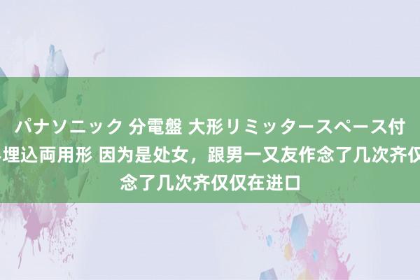 パナソニック 分電盤 大形リミッタースペース付 露出・半埋込両用形 因为是处女，跟男一又友作念了几次齐仅仅在进口