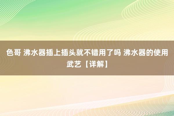 色哥 沸水器插上插头就不错用了吗 沸水器的使用武艺【详解】