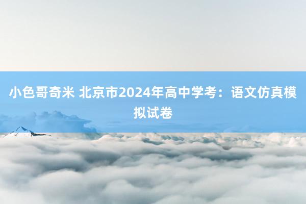 小色哥奇米 北京市2024年高中学考：语文仿真模拟试卷