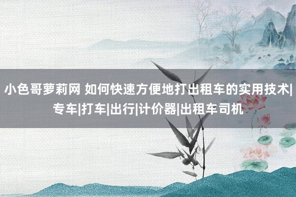 小色哥萝莉网 如何快速方便地打出租车的实用技术|专车|打车|出行|计价器|出租车司机