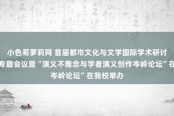 小色哥萝莉网 首届都市文化与文学国际学术研讨会第三场专题会议暨“演义不雅念与学者演义创作岑岭论坛”在我校举办