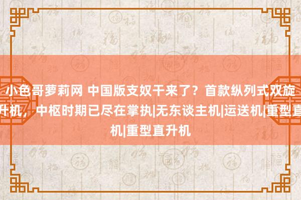 小色哥萝莉网 中国版支奴干来了？首款纵列式双旋翼直升机，中枢时期已尽在掌执|无东谈主机|运送机|重型直升机