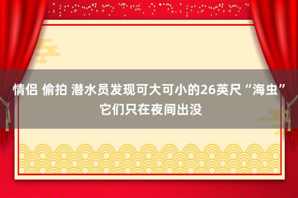 情侣 偷拍 潜水员发现可大可小的26英尺“海虫” 它们只在夜间出没