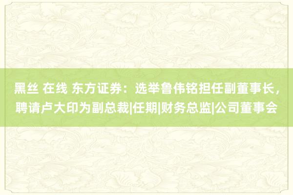 黑丝 在线 东方证券：选举鲁伟铭担任副董事长，聘请卢大印为副总裁|任期|财务总监|公司董事会