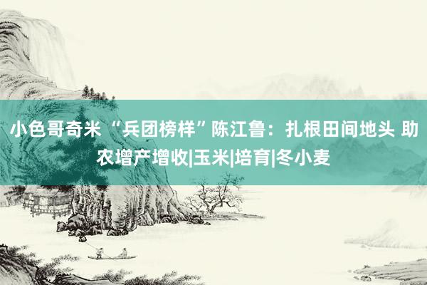 小色哥奇米 “兵团榜样”陈江鲁：扎根田间地头 助农增产增收|玉米|培育|冬小麦